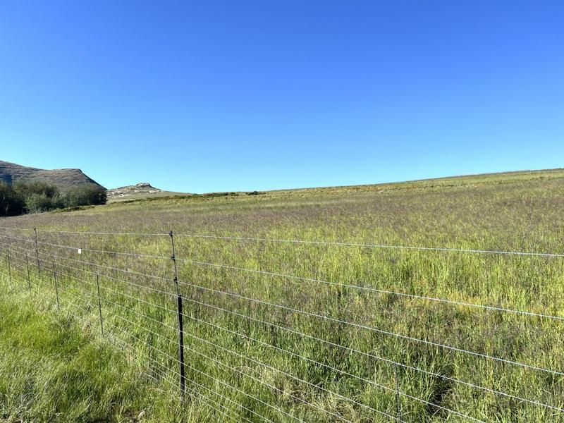 0 Bedroom Property for Sale in Fouriesburg Free State